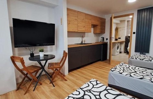 Plock Apartment | Apartamet typu studio ELEPHANT dla 4 osób
