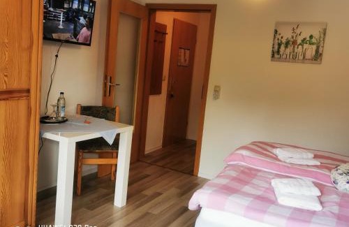 Zwiesel Apartment | Aparthotel-Chrysantihof - Aleksandra