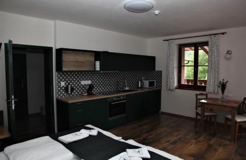 Modrava Hotel | Aparthotel Mádr