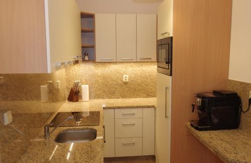 Destne Apartment | Apartmá 11 Deštné v Orlických horách