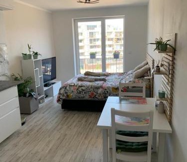 Olomouc Apartment | Apartmán Šantova