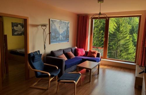 Rokytnice nad Jizerou Apartment | Apartmán Švadlenka