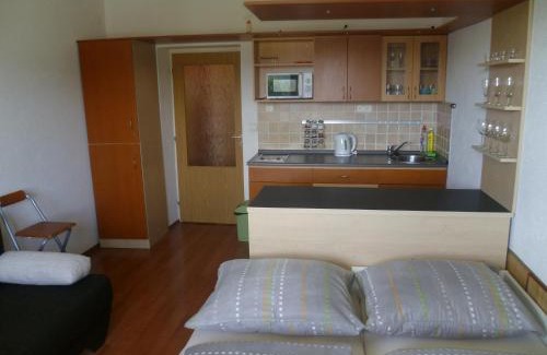 Donovaly Apartment | Apartmán Almet 102