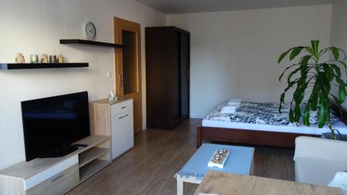 Martin Apartment | Apartmán Apaya