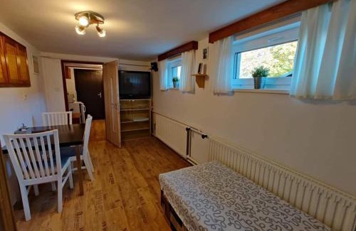 Vrchlabi Apartment | Apartmán Astomo
