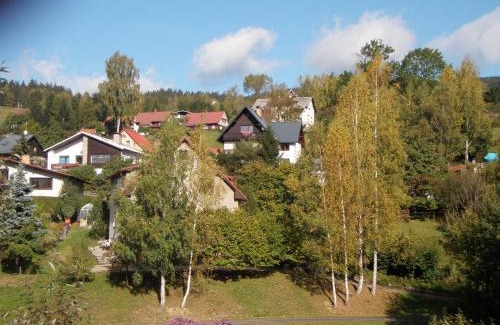 Rokytnice nad Jizerou Apartment | APARTMÁN BERAN