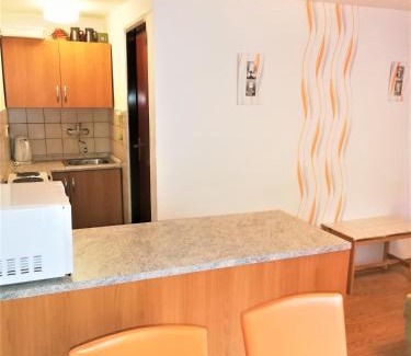Rokytnice nad Jizerou Apartment | APARTMÁN BERAN