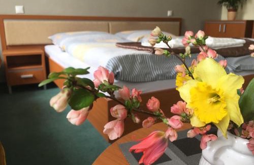 Piestany Apartment | Apartmán Darmon