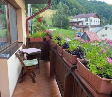 Donovaly Apartment | Apartmán Donovaly Mišuty 586