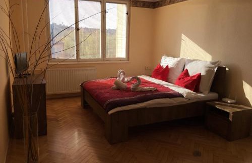 Cheb Apartment | Apartmán Elizabeth