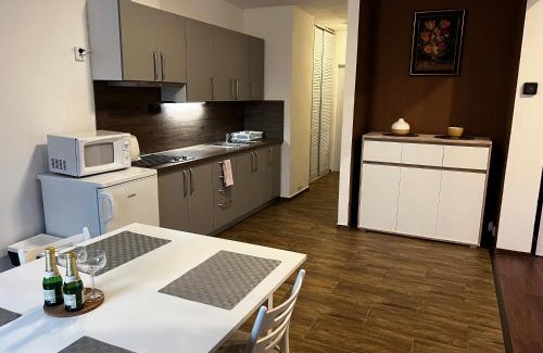 Ceska Kamenice Apartment | Apartmán Frank