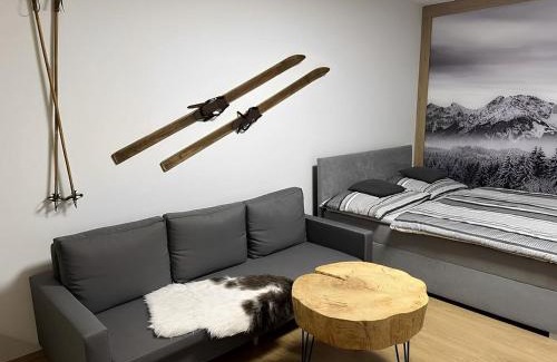 Janske Lazne Apartment | Apartmán Horálek