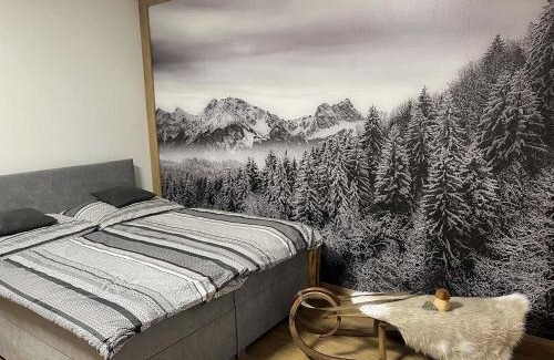 Janske Lazne Apartment | Apartmán Horálek