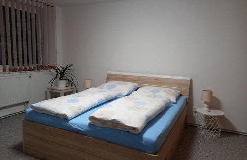 Josefov Dul Apartment | Apartmán Ina,Josefův Důl 356