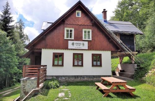 Rokytnice nad Jizerou Apartment | Apartmán mezi stromy