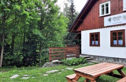 Rokytnice nad Jizerou Apartment | Apartmán mezi stromy
