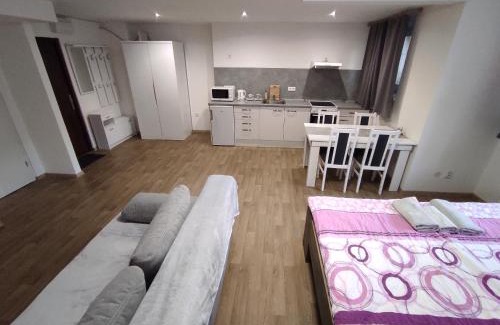 Brno-stred Apartment | Apartmán Milada