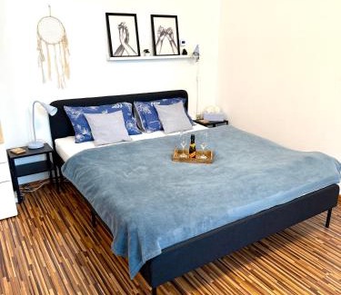 Sumperk Apartment | Apartmán na Žerotínce