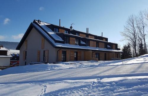 Dolni Morava Apartment | Apartmán NA SVAHU 3+KK, Dolní Morava
