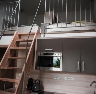 Loucna nad Desnou Apartment | Apartmán Pod Medvědí horou