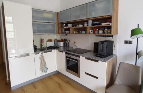Kvilda Apartment | Apartmán Strunzova pila Kvilda 203