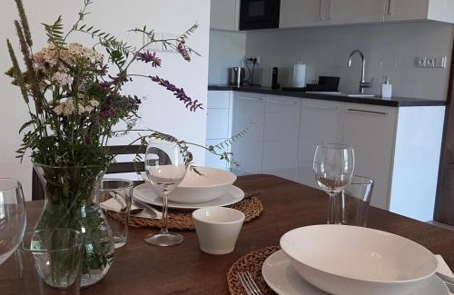 Nove Mesto na Morave Apartment | Apartmán Studnice