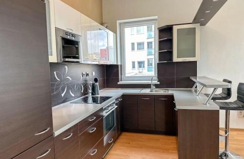 Radvan Apartment | Apartmán Suro I Garage parking 24/7 self check-in