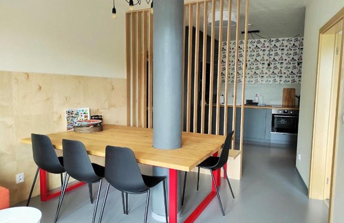 Ricky v Orlickych horach Apartment | Apartmán SVAN B2