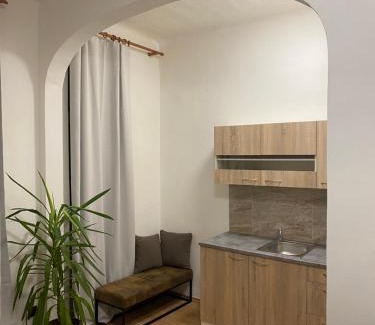 Olomouc Apartment | Apartmán Tržnice