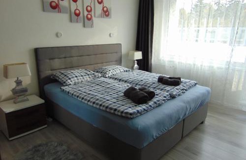 Ruzomberok Apartment | Apartmán u Jána