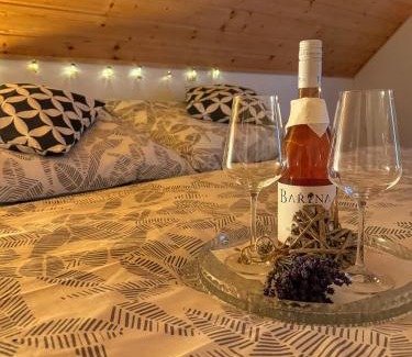 Jesenik Apartment | Apartmán u Ještěrky se saunou v ceně, Rejvízská 29, Jeseník