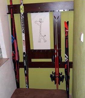 Vrchlabi House | Apartmán U Kačáku