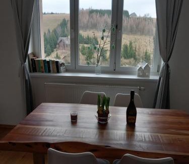 Orlicke Zahori Apartment | Apartmán u Kunštátského mlýna