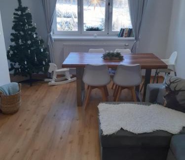 Orlicke Zahori Apartment | Apartmán u Kunštátského mlýna