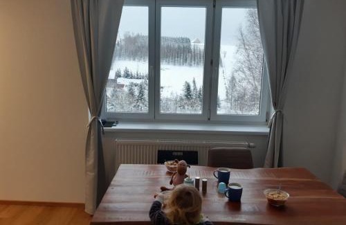 Orlicke Zahori Apartment | Apartmán u Kunštátského mlýna