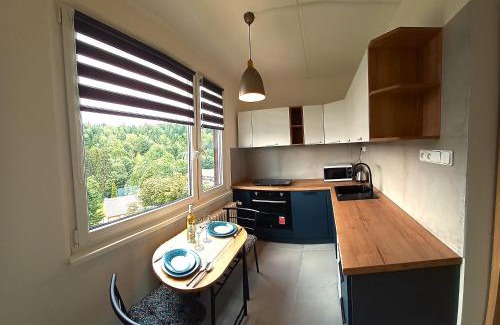 Janske Lazne Apartment | Apartmán u lanovky