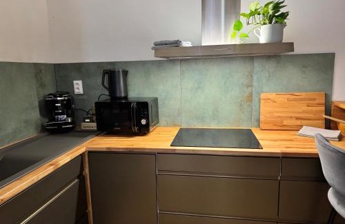 Vitkovice Apartment | Apartmán u Vetešnictví