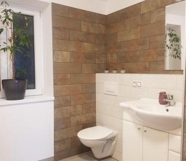 Jachymov Apartment | Apartmán Uršula