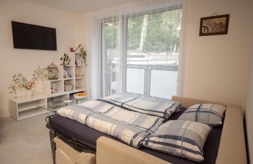 Janov nad Nisou Apartment | Apartmán víla Amálka