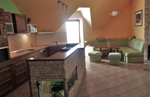 Slavkov u Brna Apartment | Apartmán V aleji
