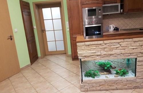 Slavkov u Brna Apartment | Apartmán V aleji