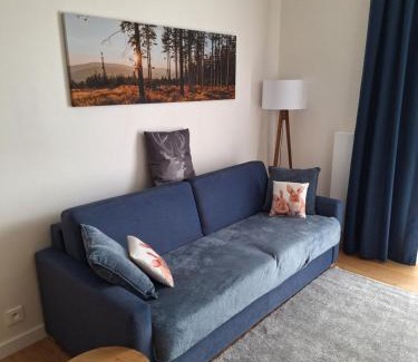 Svinna Apartment | Apartmán v Javorné na Šumavě