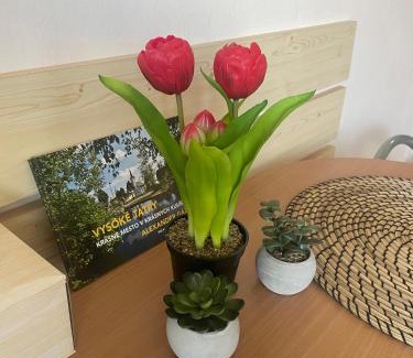 Novy Smokovec Apartment | Apartmán v srdci Tatier