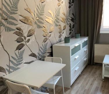 Dolni Morava Apartment | Apartmán V Zeleni