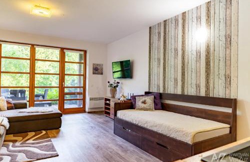 Ricky v Orlickych horach Apartment | Apartmán VerZuz - Říčky v Orlických Horách