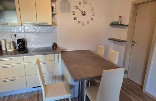 Olomouc Apartment | Apartmán Violette