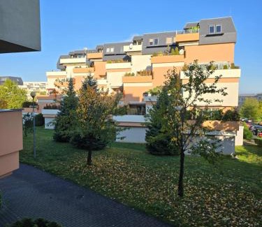 Olomouc Apartment | Apartmán Violette