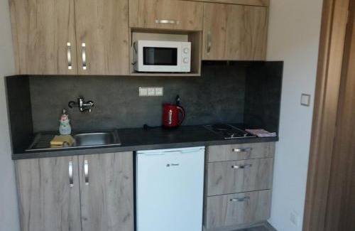Ceske Budejovice 7 Apartment | Apartmán Vyhlídka
