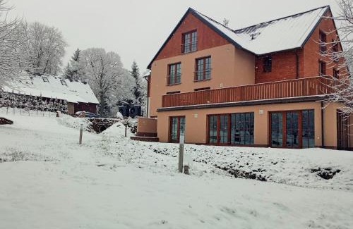 Ricky v Orlickych horach Apartment | Apartmány Říčky