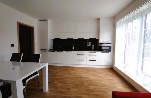 Ricky v Orlickych horach Apartment | Apartmány Říčky